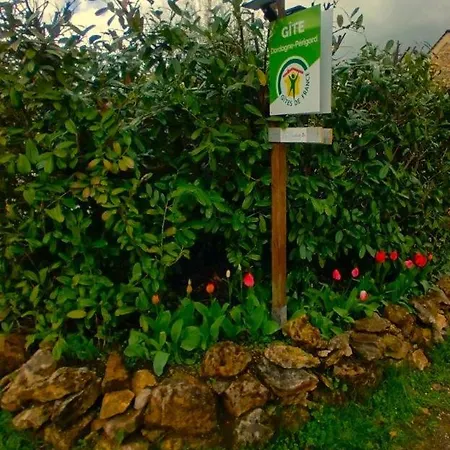 Daire Coquelicots Dordogne Saint-Julien-de-Lampon