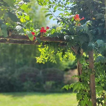 Coquelicots Dordogne
