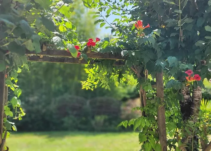 Coquelicots Dordogne
