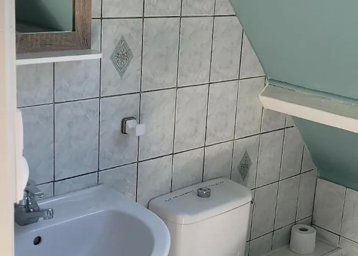 Coquelicots Dordogne Saint-Julien-de-Lampon